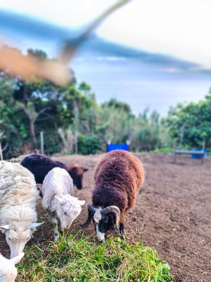 Quinta Do Caminho Da Igreja Ter-Casas De Campo ヴェーラス エクステリア 写真